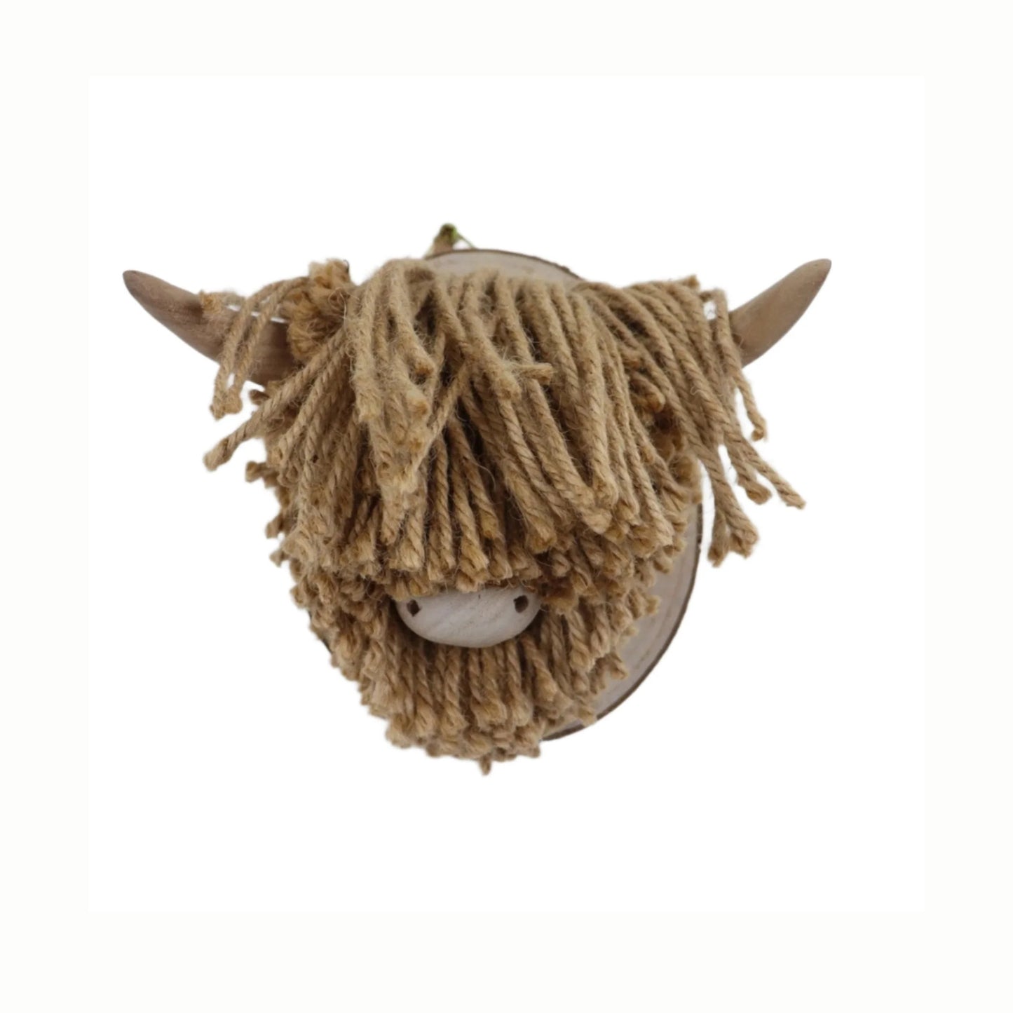 Jute head of a highland cow on a white background