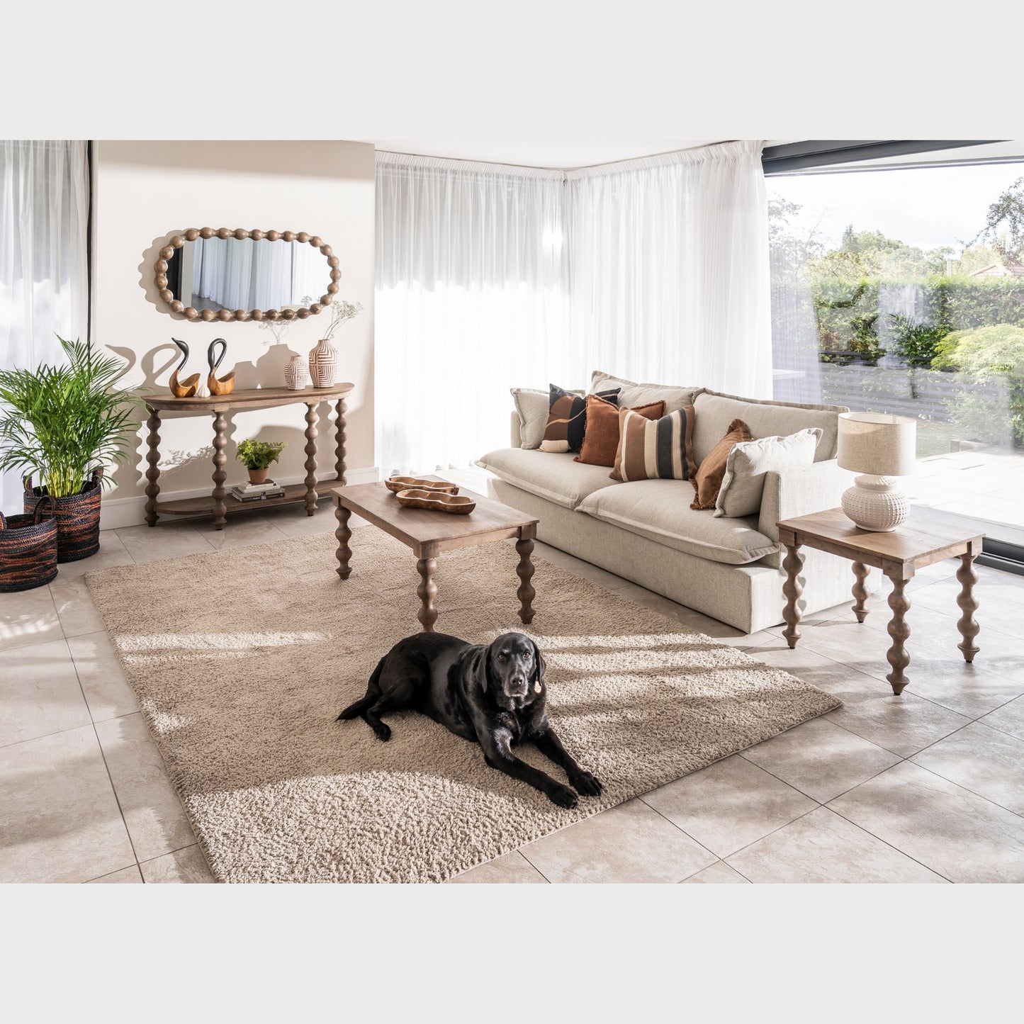 Living room with a dog lying on a rug, sofa with pillows, and decorative items.