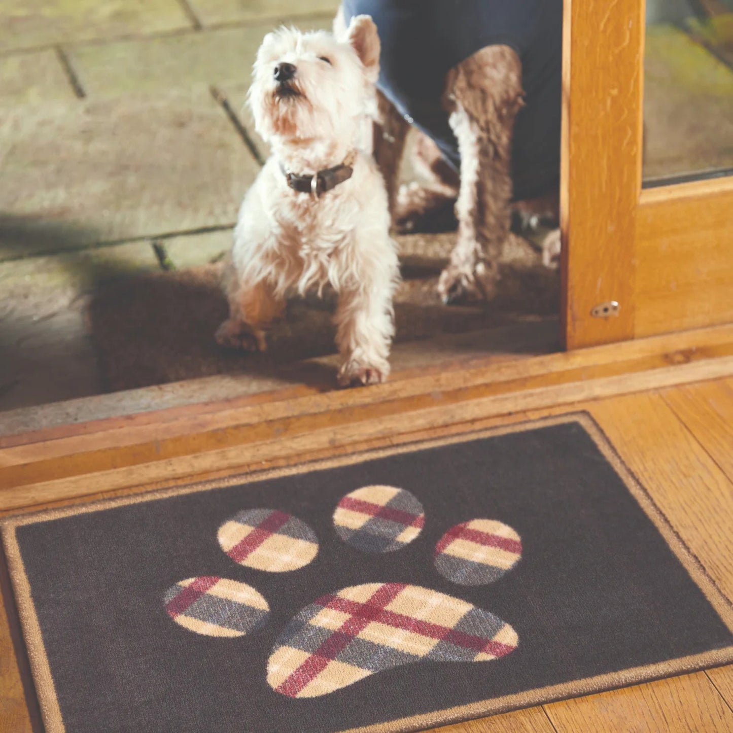 Dog standing on a doormat with paw prints near a glass door.