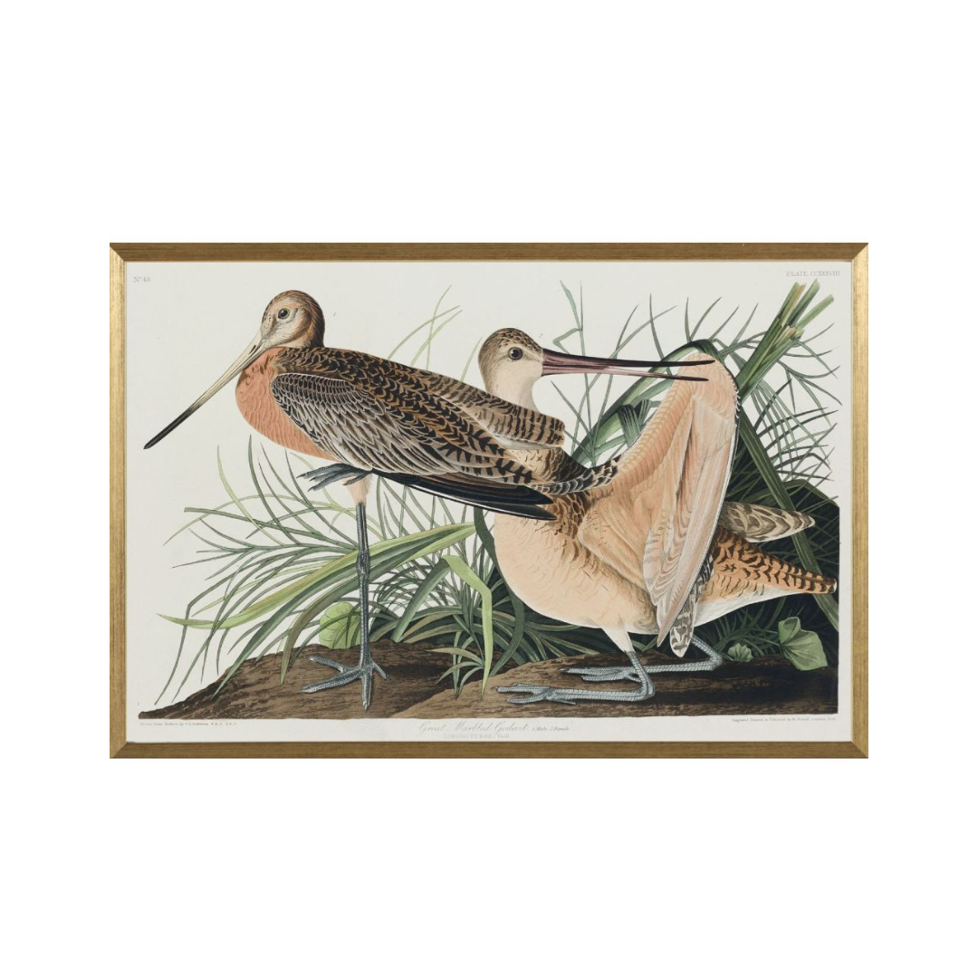 FRAMED BIRD ART