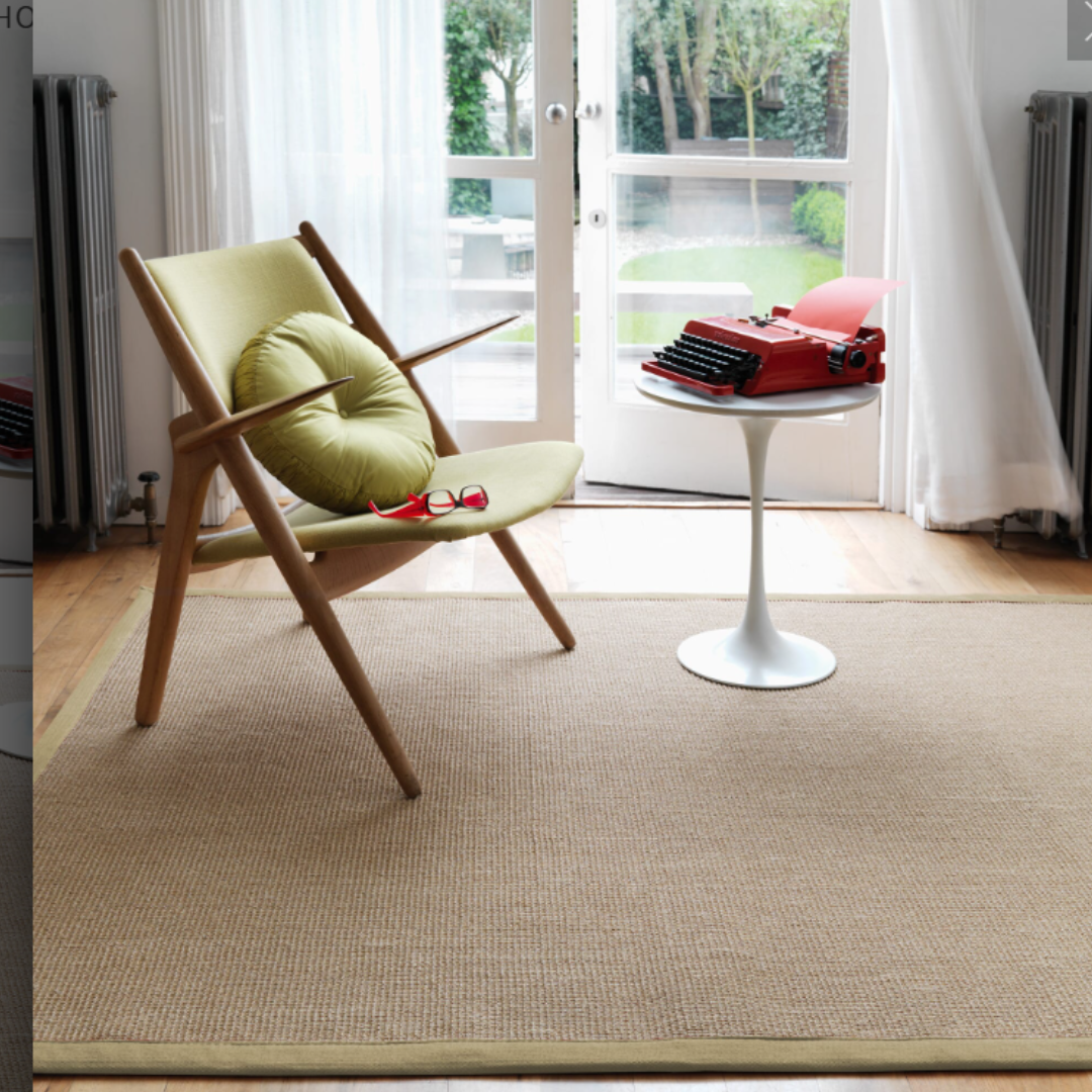 Sisal Border Rug Save 50%