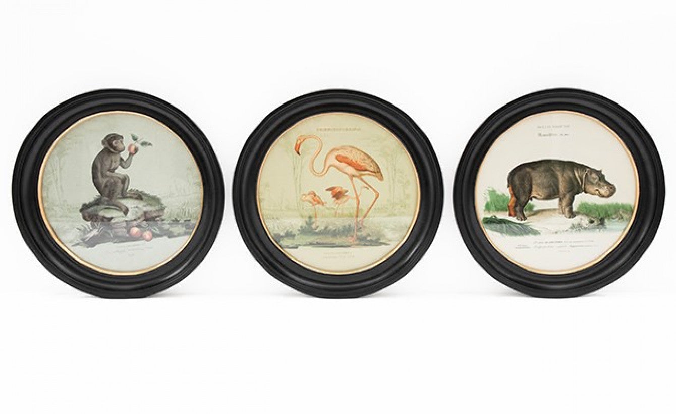 38cm Vintage Safari Wall Print
