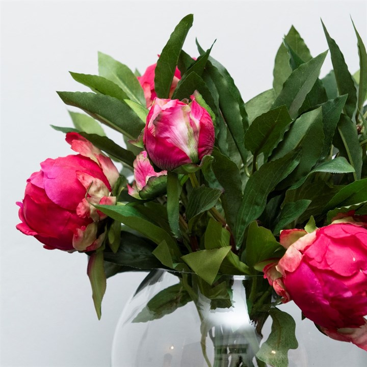 A bouquet of dark pink peonies arranged in a clear glass globe vase.