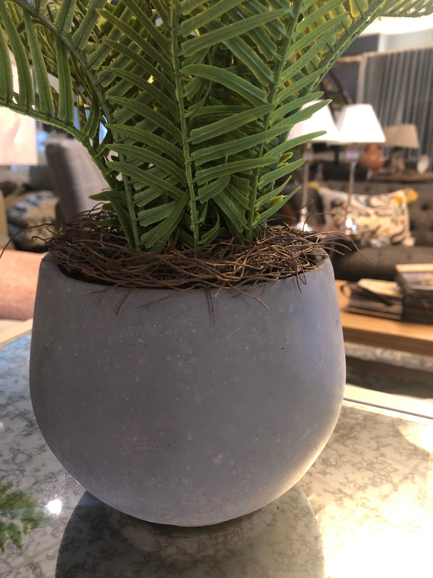 POTTED FERN