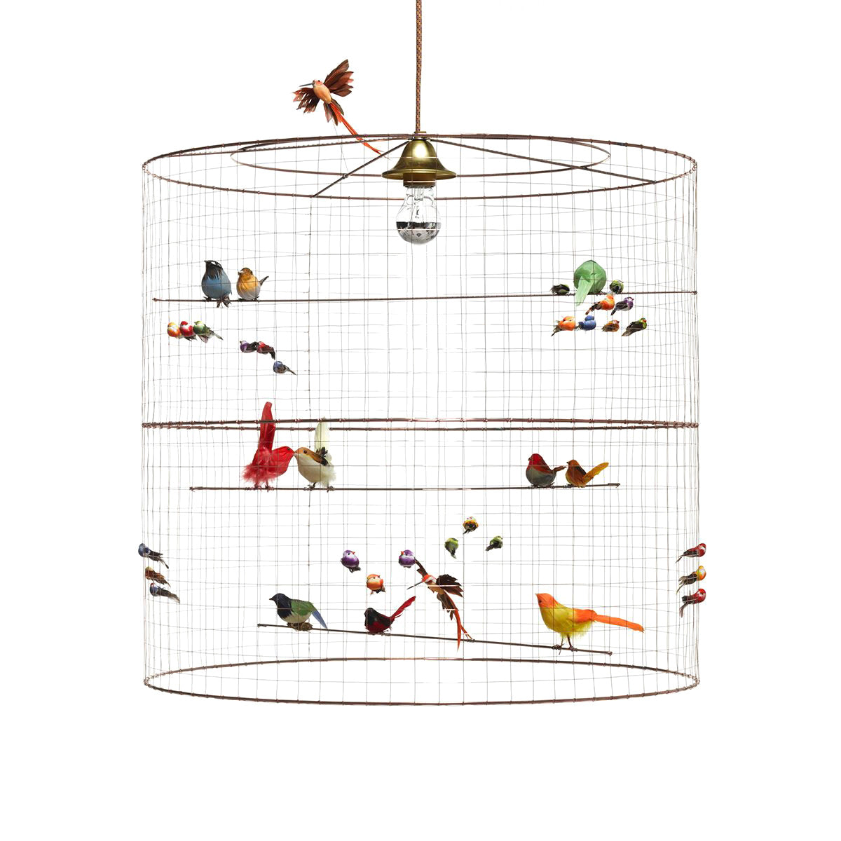 Aviary Lighting Collection