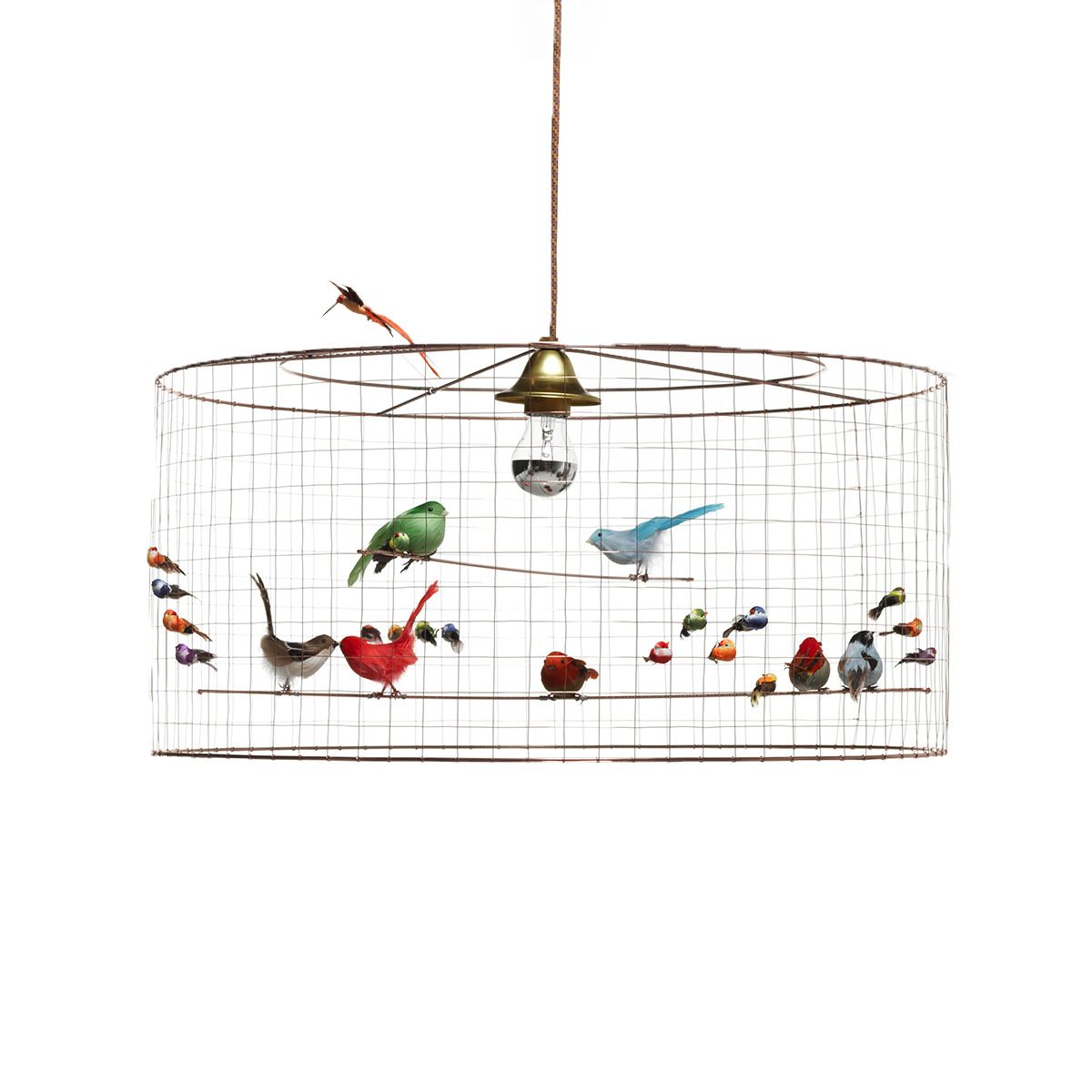 Aviary Lighting Collection