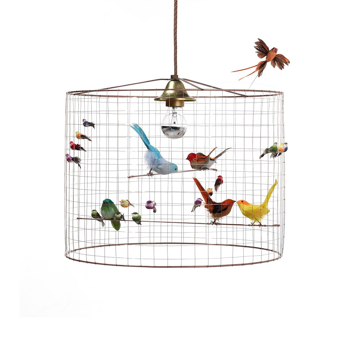 Aviary Lighting Collection