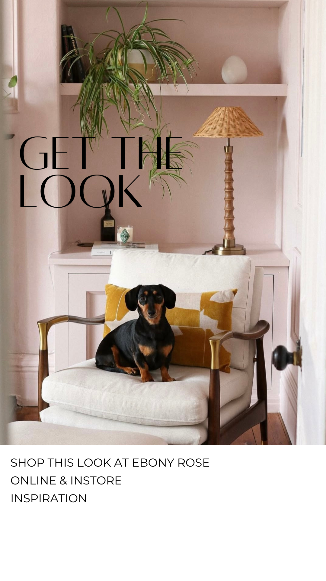 Shop The Look!