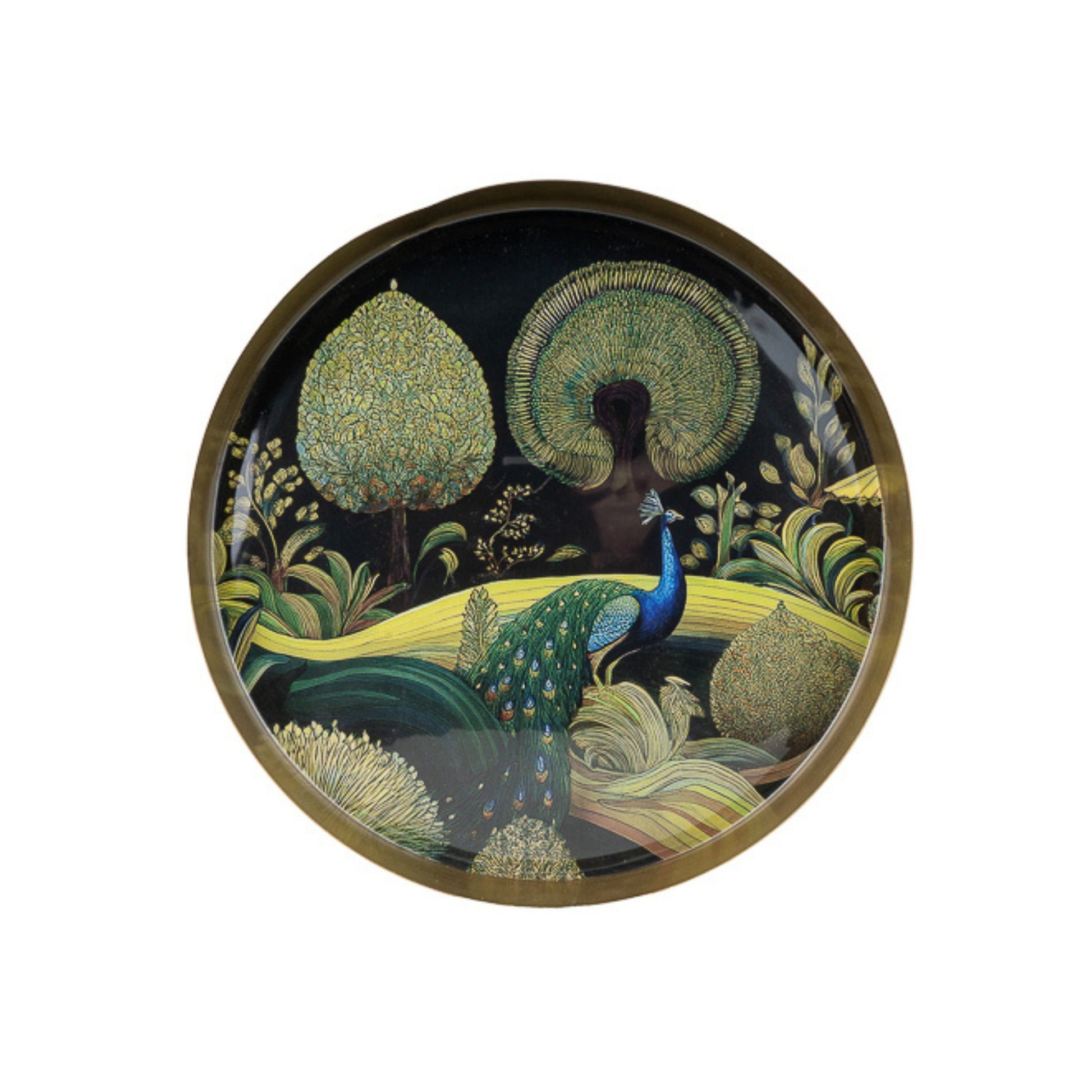 Decorative tray with a peacock and nature scene on a black background