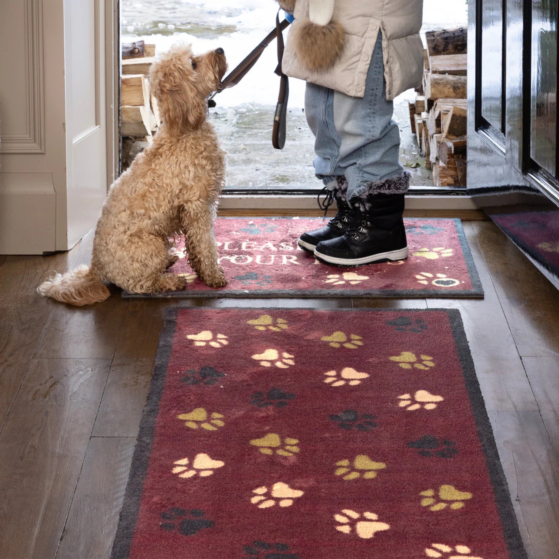Dog sitting on a doormat with a person holding a leash inside a house.