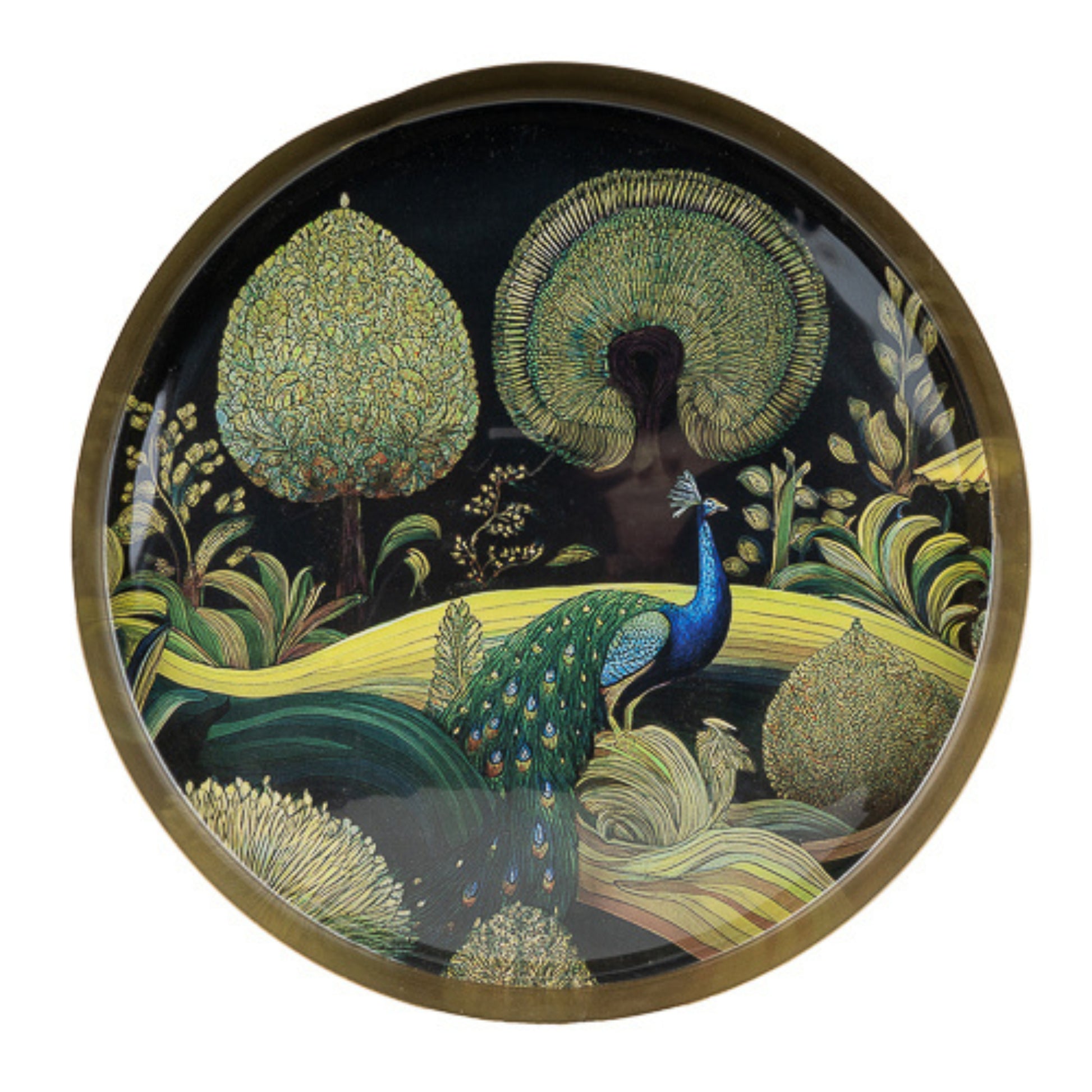 Decorative tray with a peacock and nature design on a black background