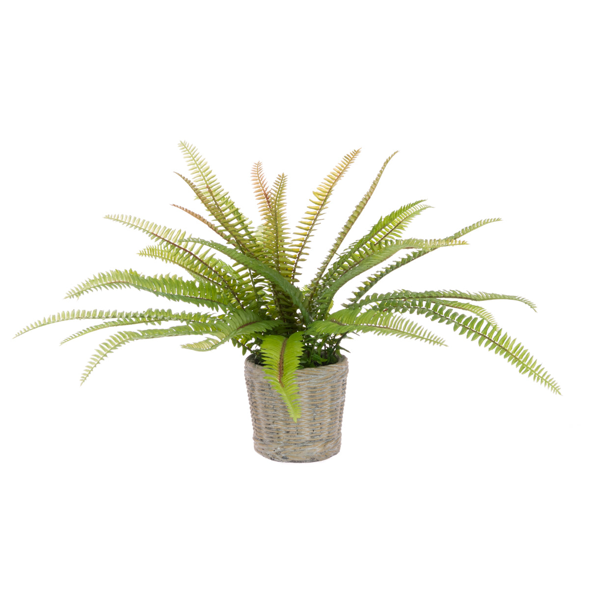 Artificial fern plant in a hand-crafted ceramic basket pot on a white background