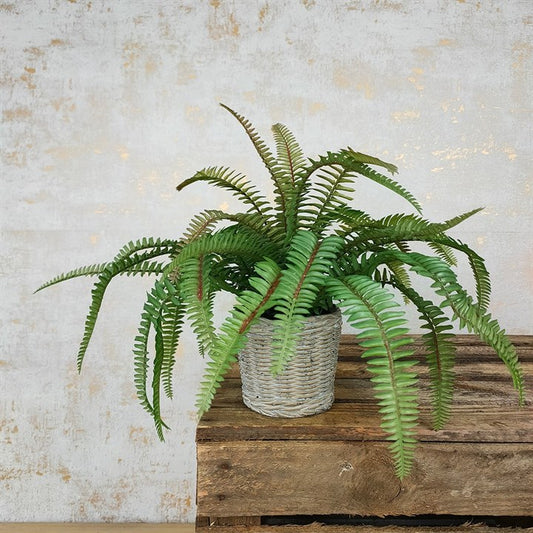 Artificial fern plant in a hand-crafted ceramic basket pot, displayed on a wooden surface against a wall.