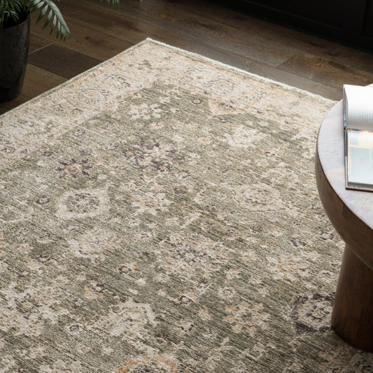 Area rug in living room 