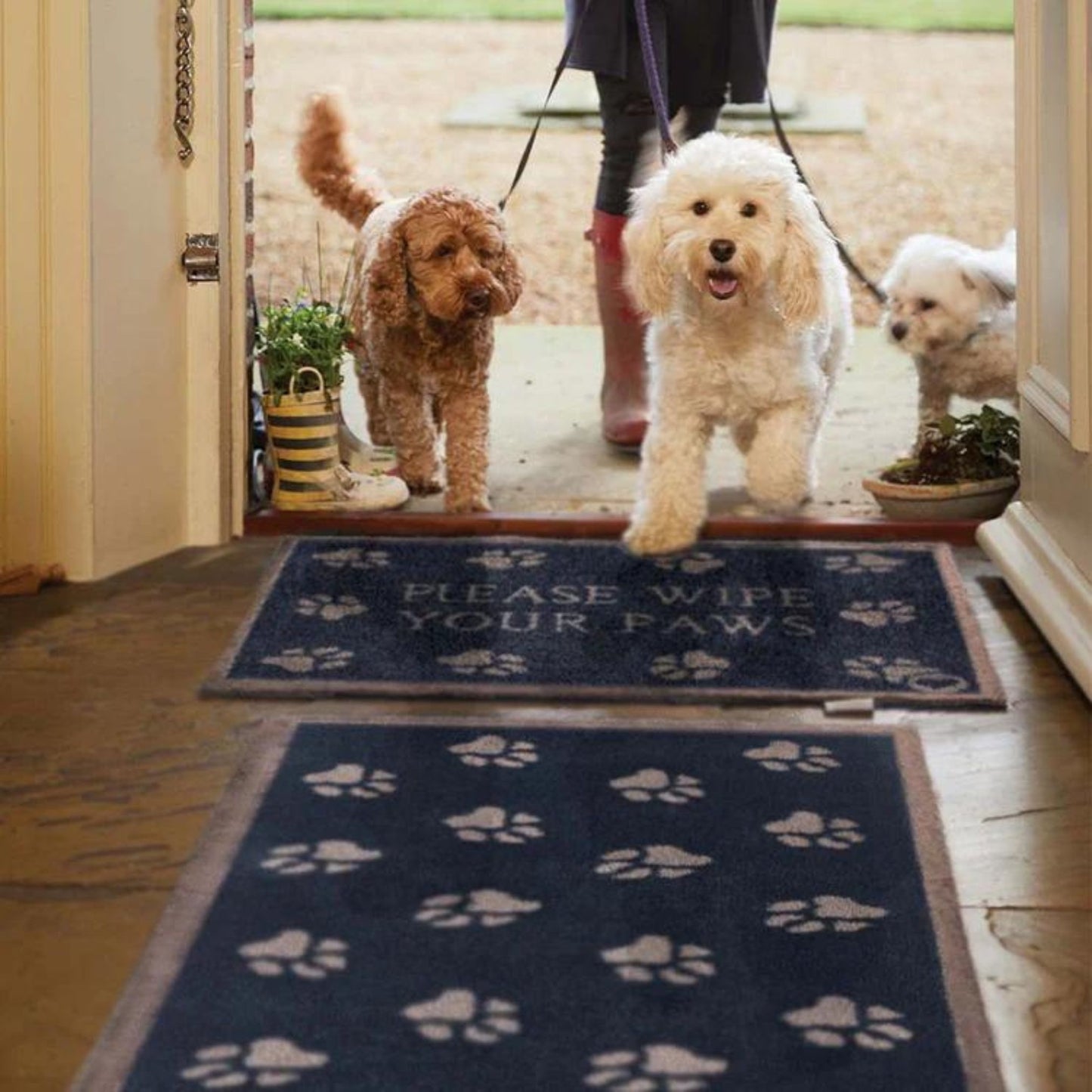 Hug Rug Navy door mat and runner with paw print design at doorway entrance with a person leading three dogs on leads into the home. 