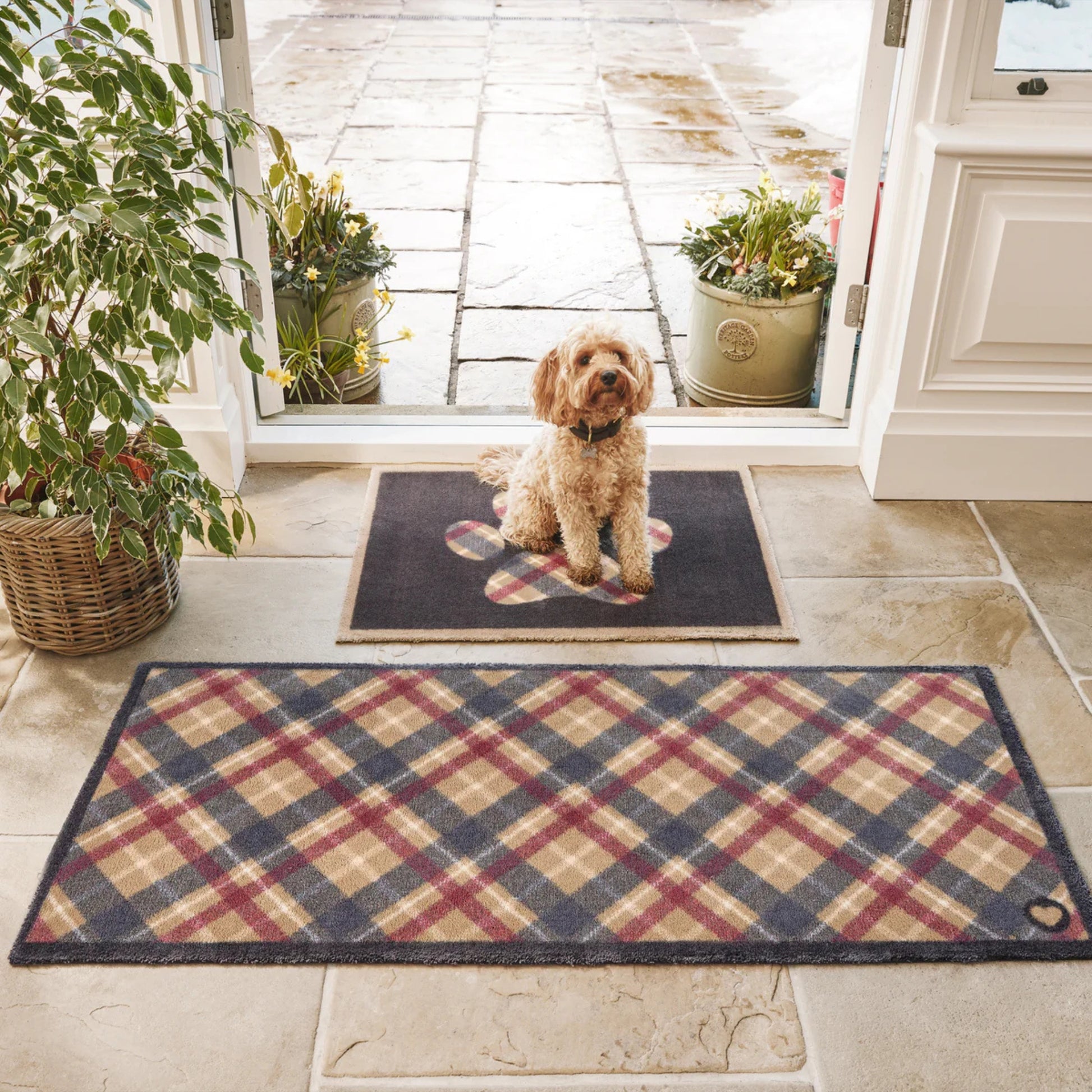 Dog sitting on a checkered doormat in front of a house entrance.