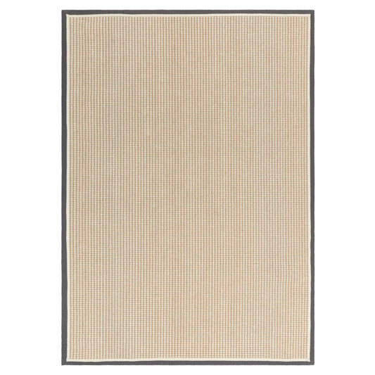 Neutral rug with slate grey border on a white background