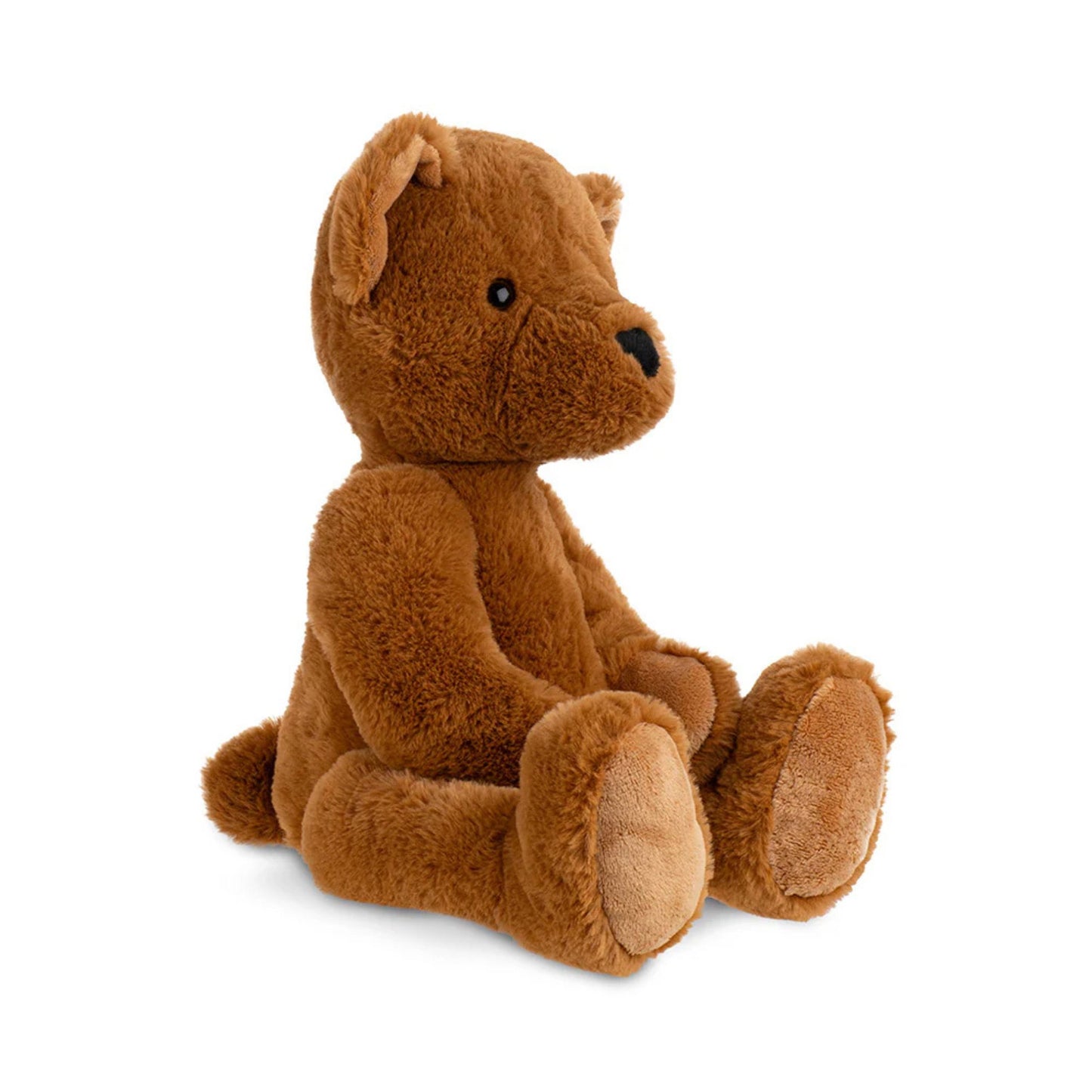 Brown teddy bear on a white background