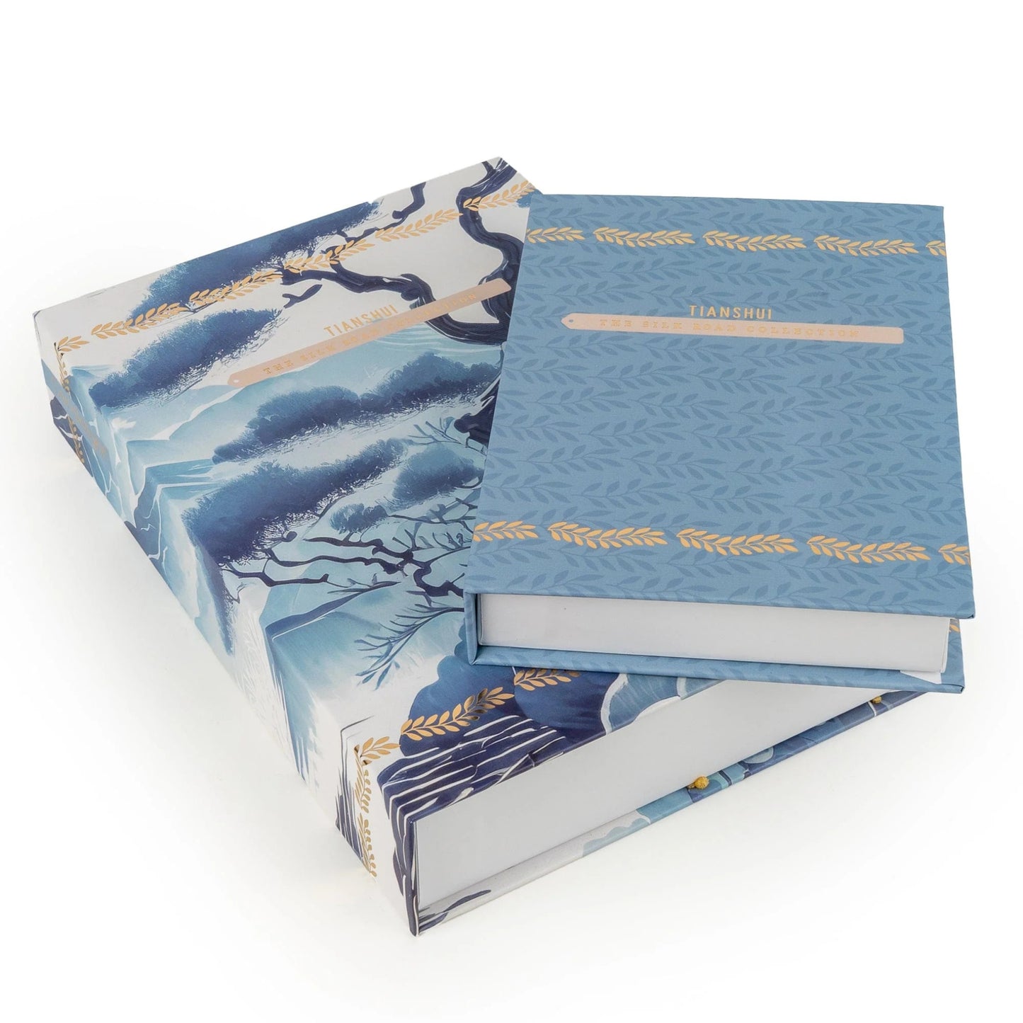 Two blue books with artistic covers on a white background