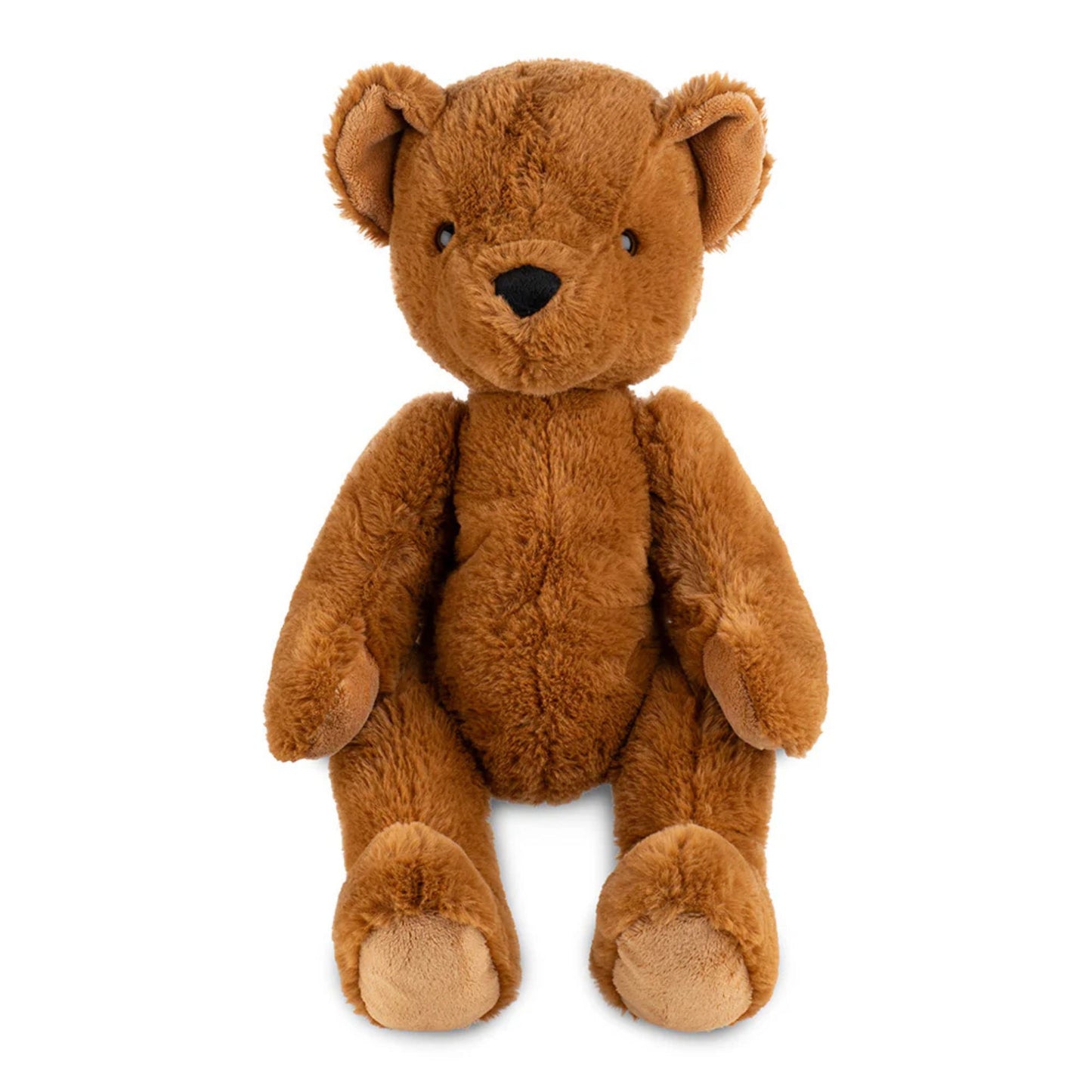 Brown Teddy Bear on a white background
