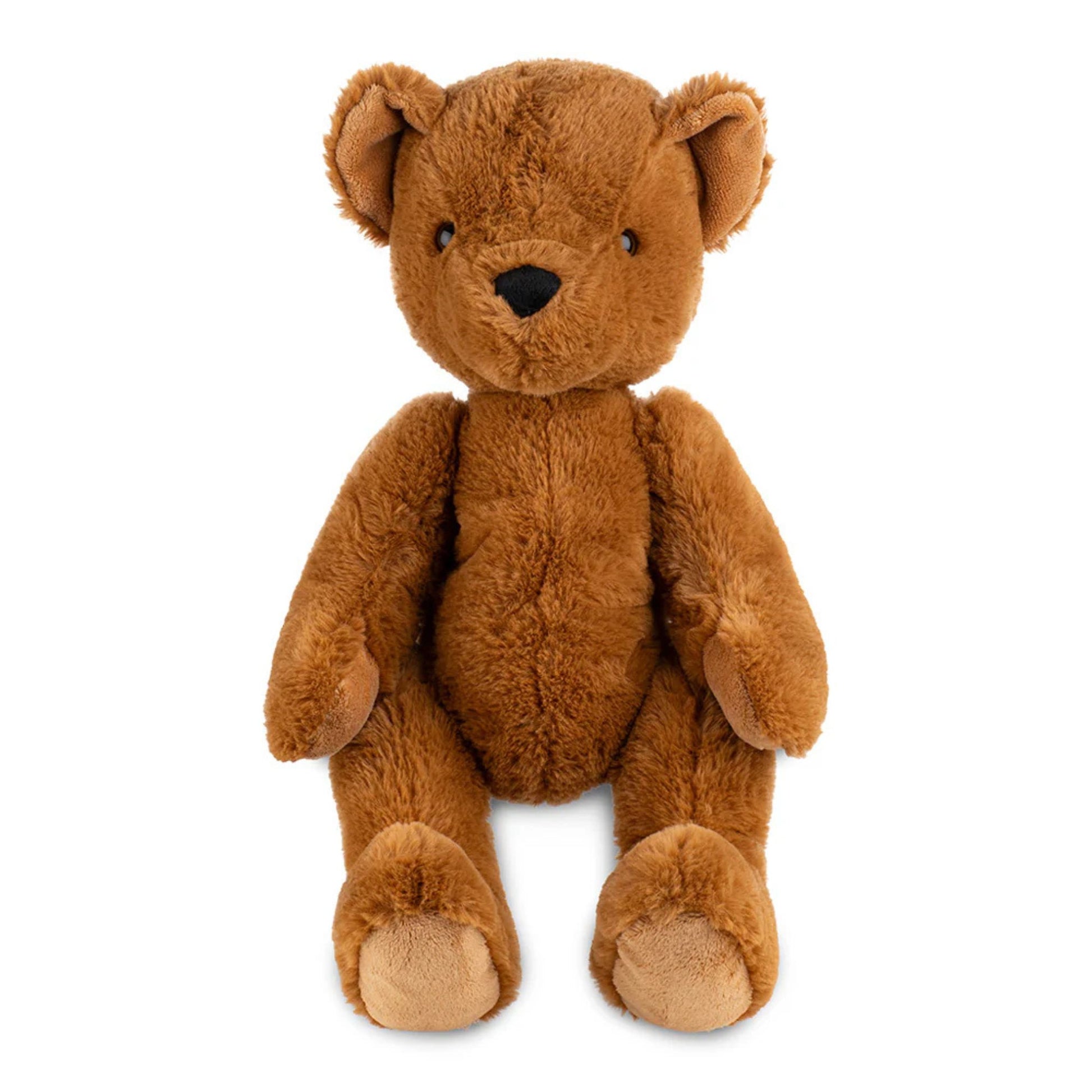 Brown Teddy Bear on a white background