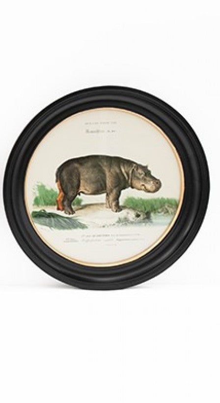 Vintage Safari Wall Print