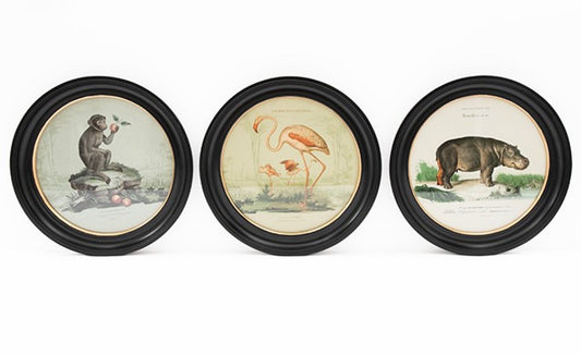 38cm Vintage Safari Wall Print