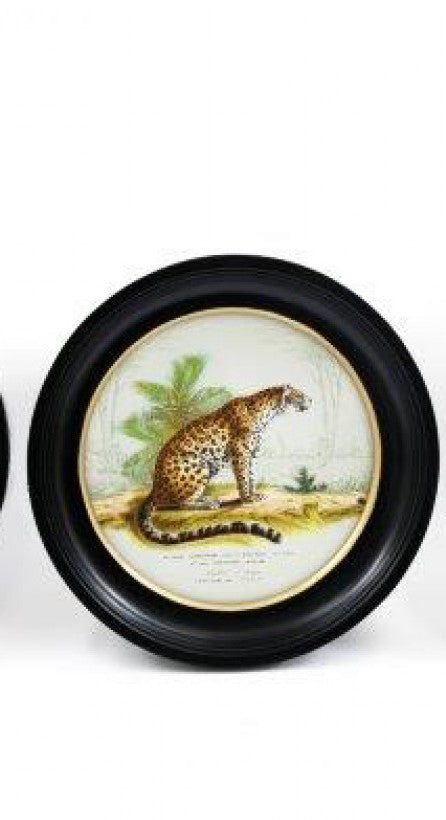 Round Frame Leopard Print
