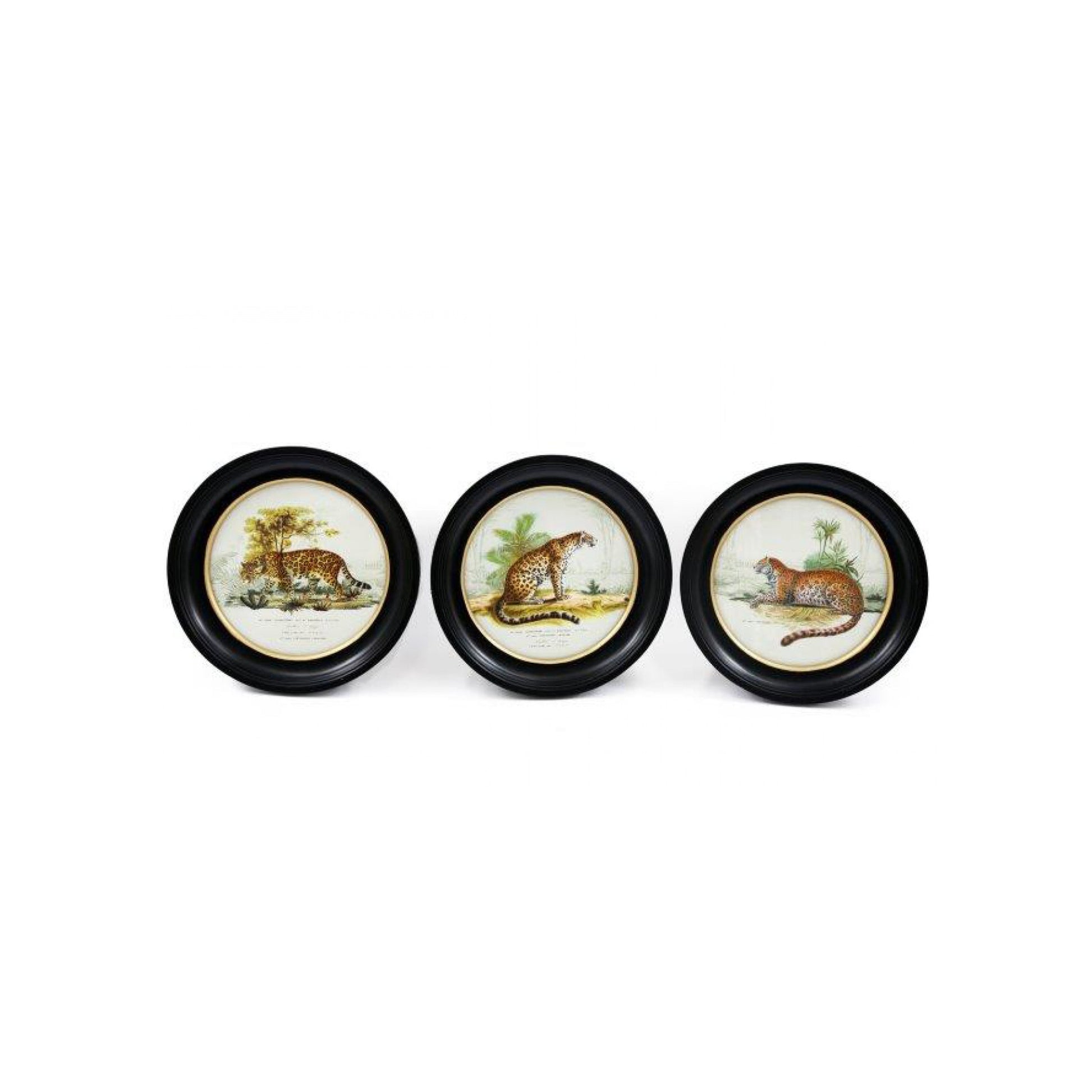 Round Frame Leopard Print