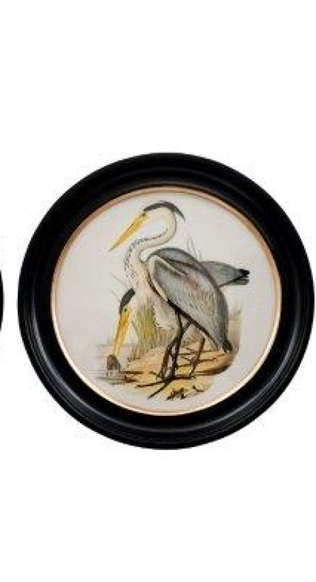 Round Large Bird Wall Art