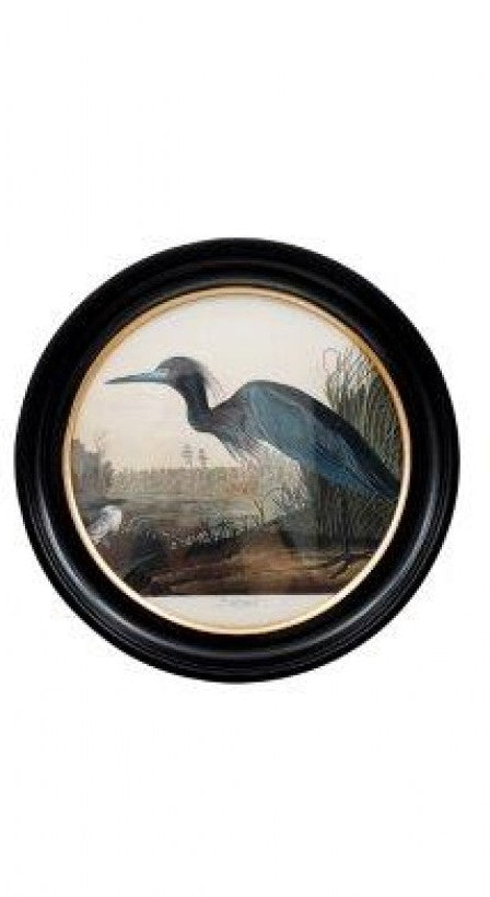 Round Large Bird Wall Art