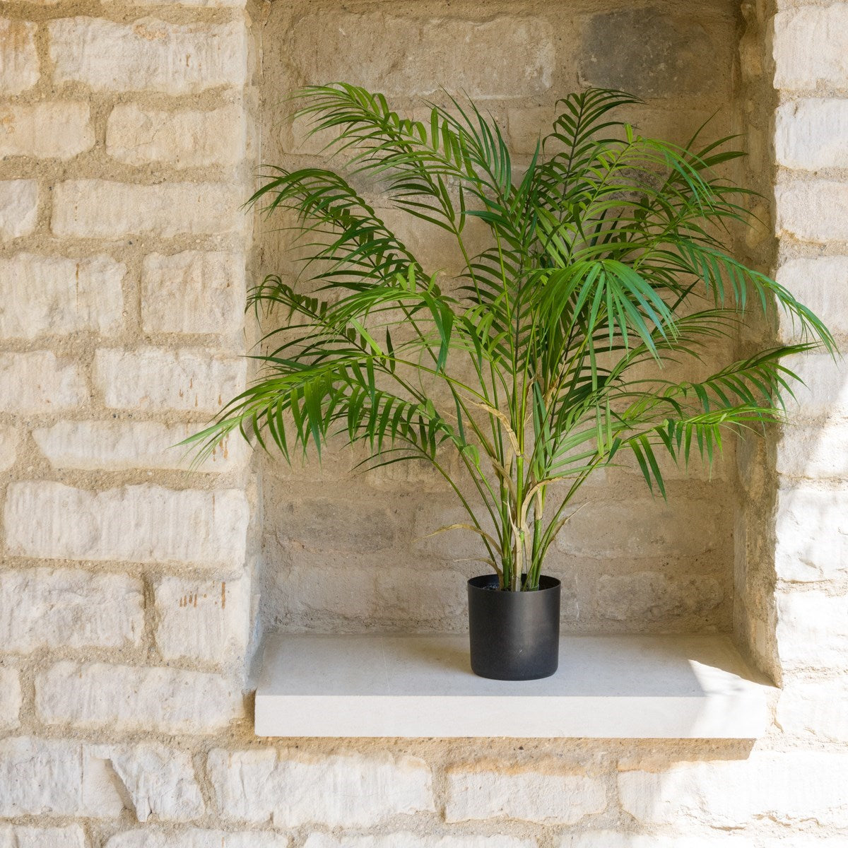 A faux areca palm plant with vibrant green leaves in a black pot sitting on a shelf inset in a natural brick wall.
