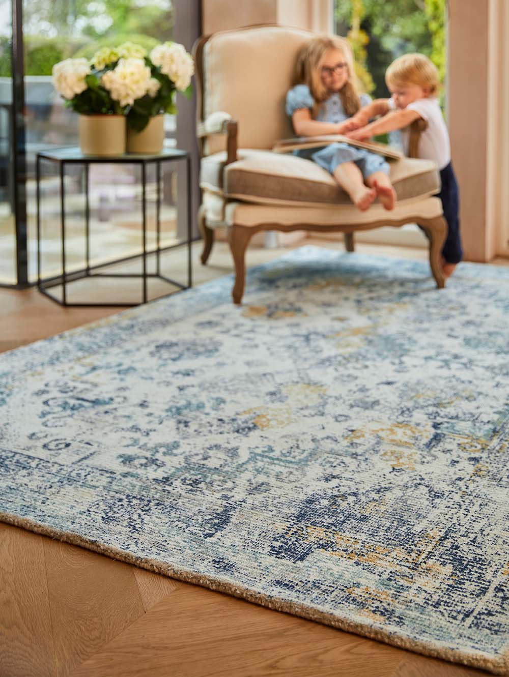 Decor Distressed Rug