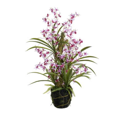DANCING ORCHID IN MOSS