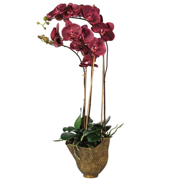 Deep purple pink orchid in metallic gold woven pot base 